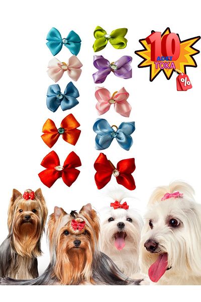 Hubjua Royal Luxury Set of 10 - Stoned Dog Buckle and Bow