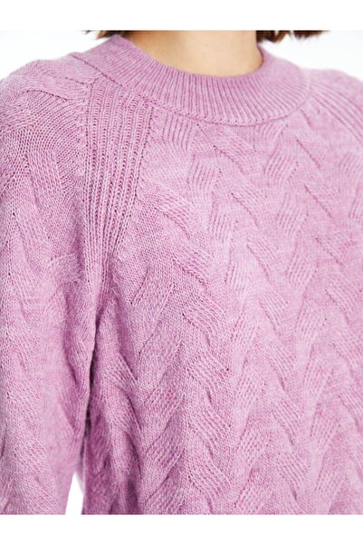 LC Waikiki Bisiklet Yaka Kendinden Desenli Kadın Triko Kazak