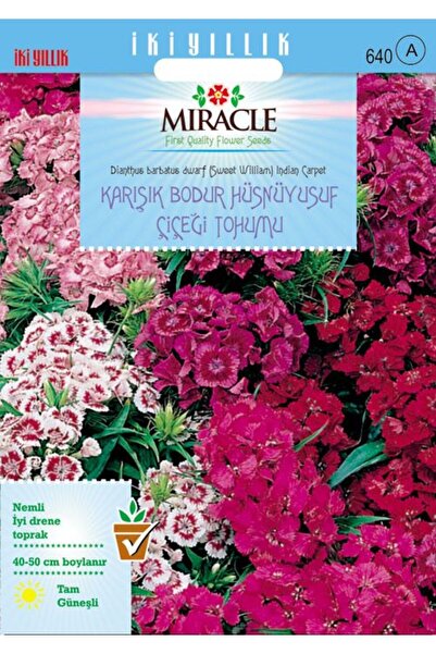 fidanciyiz Bodur Hüsnüyusuf Çiçeği Tohumu (150 Tohum)