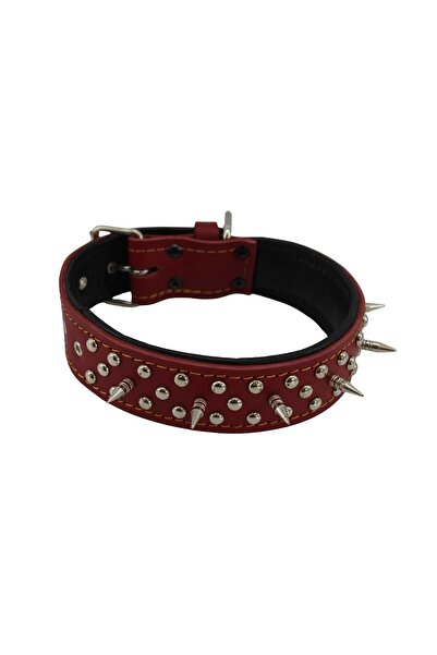 MgTasma El Işçiliği, Özel Tasarım, Gladyatör Tasma Seti, Boyun Tasması, Göğüs Tasması, Gezdirme Ipi