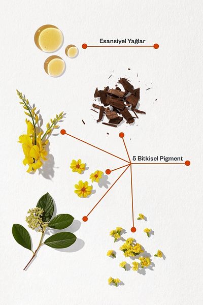Phyto Phytocolor 5.35 Light Chestnut Gold Akaju Ammoniakfreies, dauerhaftes pflanzliches Haarfärbemittel