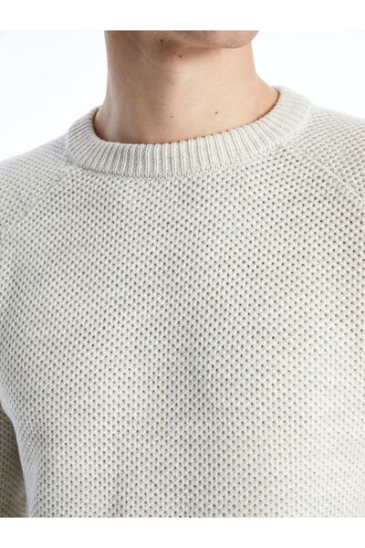 LC Waikiki Ανδρικό πλεκτό πουλόβερ με μακρυμάνικο λαιμόκοψη - W3ı420z8