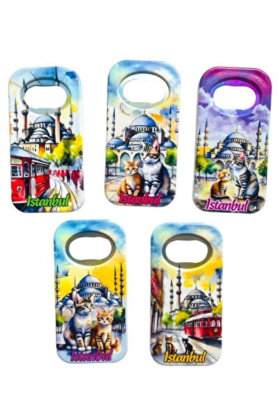 GALATA GIFT Sticla cu magnet cu tematică Istanbul și pisică - o bucată, deschizător de sifon de 9 cm