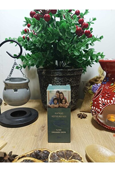 Kafkas Kefir Mayası