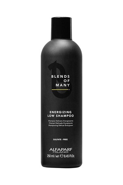Alfaparf 250 ml Anti-Shedding Shampoo for Men - Blends Suitable for All Hair Types
