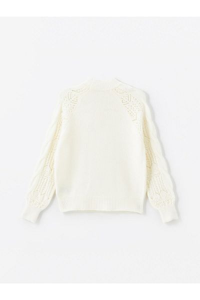 LC Waikiki Patterned Long Sleeve Half Turtleneck Women's Knitwear Sweater