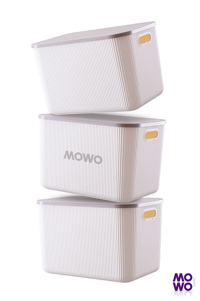 Mowo Home Trove White 21 Lt - Декоративна кутия за съхранение, бежов капак и многофункционален органайзер за шкаф