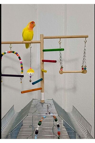 NOTREMONDEPET Kafes Üstü Muhabbet Kuşu Sultan Papağanı Vb Kuşlar Için Uygun Ü...