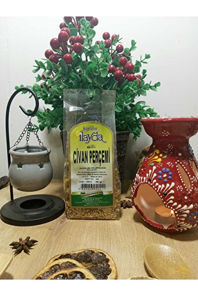 ilayda bitki آيلايدا سيفان - نموذج برشام