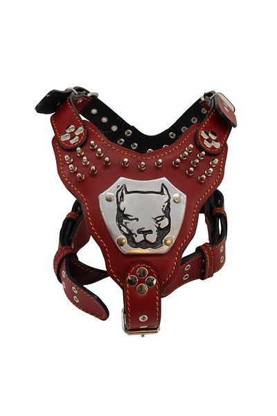 MgTasma Handcrafted, Special Design, Gladiator Leash Set, Neck Collar, Chest Collar, Wanderline