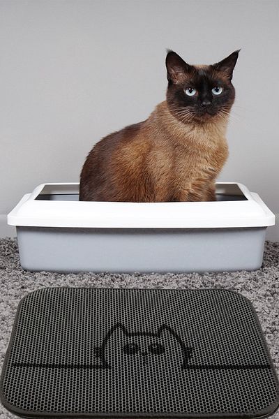 Chilai Home Hide Cat Litter Mat with Gray Screen Toilet Front Mat