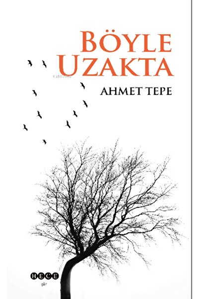 Hece Yayınları Böyle Uzakta