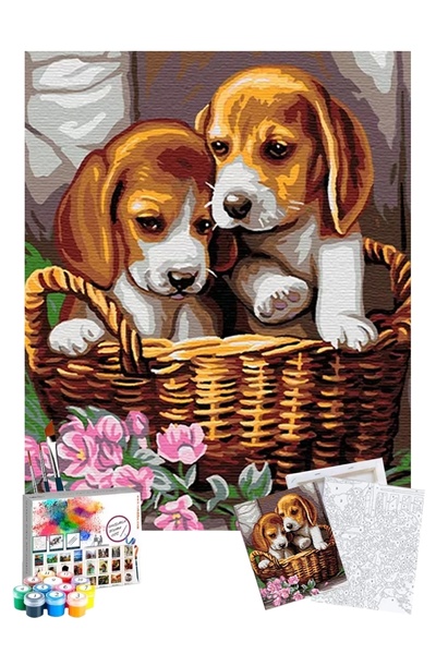 Tabdiko Sayılarla Boyama Seti 40 x 50 cm Tuval Şasesine Gerili Yavru Köpekler