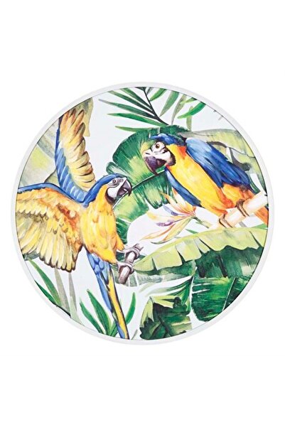 Vitale Pera Papağanlar Ahşap Tablo 80x80 cm AK.FW0027