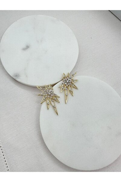 Jerie Star Special Design - Gold Stone Detailed Earrings