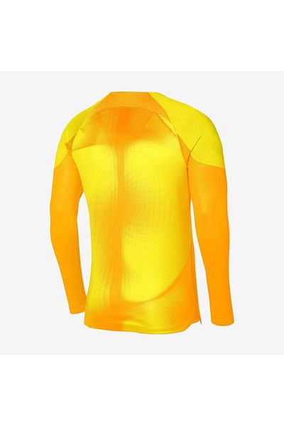 Nike M Nk Dfadv Gardien Iv Gk Jsy Ls Goalkeeper Jersey