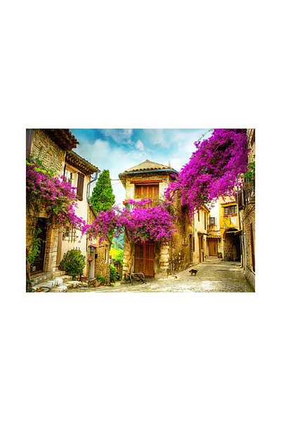Blue Focus 1000 Parça Puzzle Provence