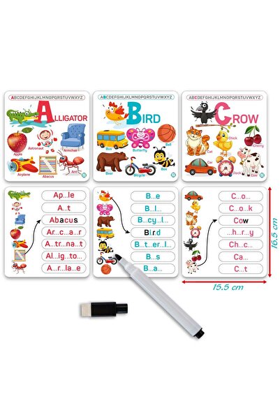 Circle Toys English Recommendation