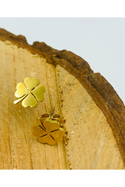 Monalisa Home أقراط من الفولاذ باللون الذهبي