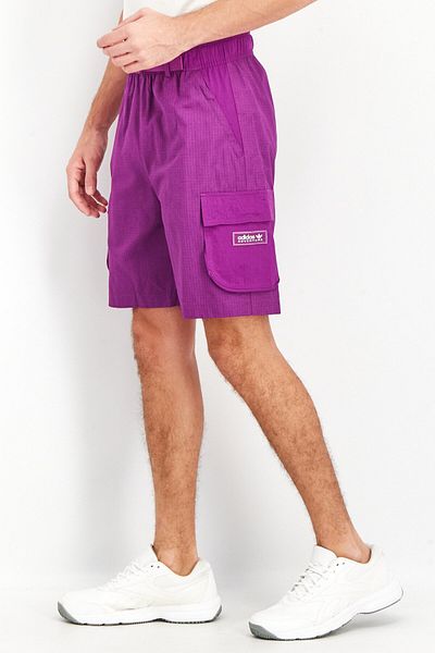 Adidas Originals Men Sportswear Fit Brand Logo Shorts, Purple