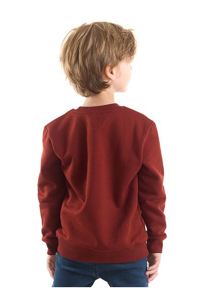 Denokids Tiger-Boy-Sweatshirt