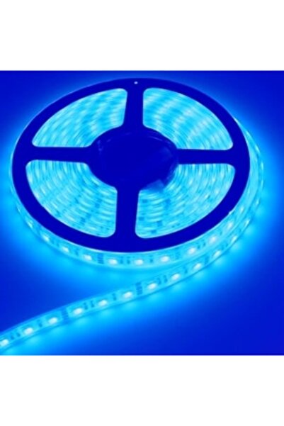 Turkuaz ŞERİT LED MAVİ 5 Mt
