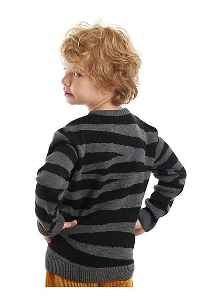 Denokids Tiger Boy Gray Sweater