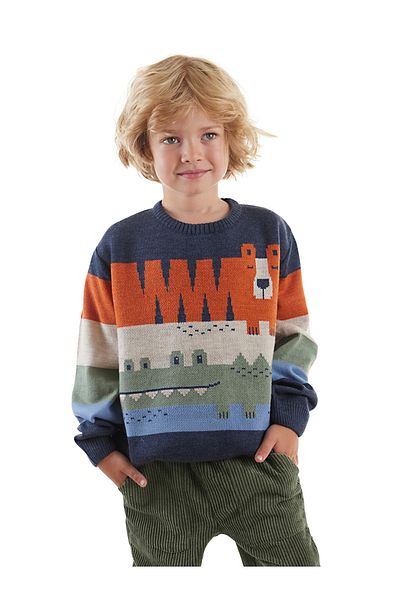 Denokids Boy's Animals mintás pulóver