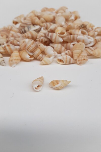 Limelia Cremă de scoici de stridii