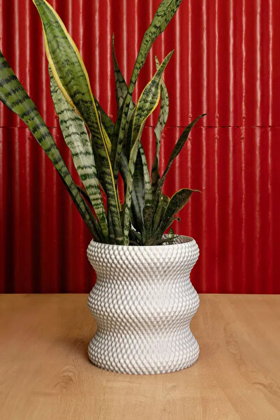 magicland Şık Tasarım Dekoratif Vazo, Dekoratif Saksı, Hediyelik Eşya, Şık Ta...