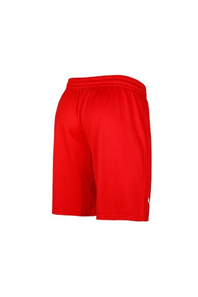 Puma Men's Turkey Basketball Red Practice Short - 60547202