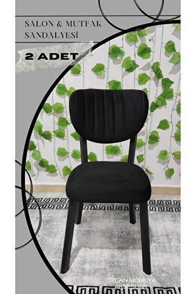 ÖZCAN METAL 2 Adet Metal Elma Mutfak Salon Sandalyesi Kafe Restoran Sandalyes...