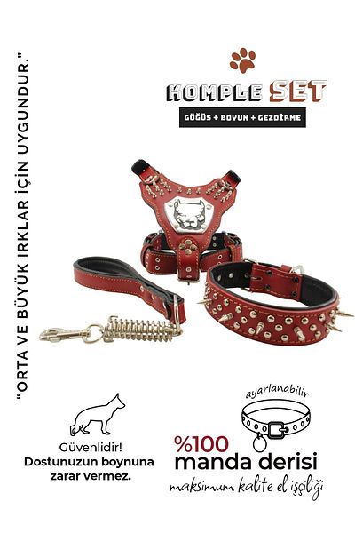 MgTasma Handcrafted, Special Design, Gladiator Leash Set, Neck Collar, Chest Collar, Wanderline