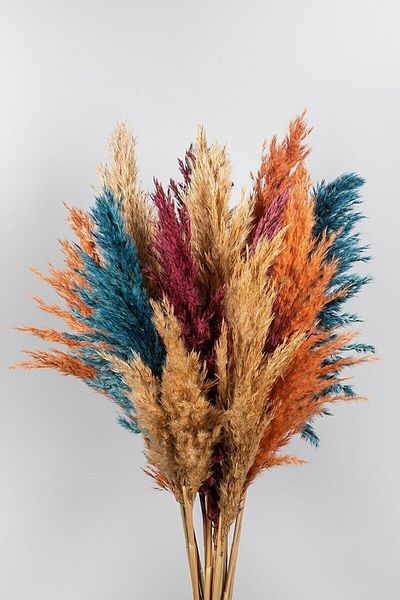 ardenhome Φθινοπωρινό Χρώμα Pampas Grass 10 Τεμάχια 60/100 cm