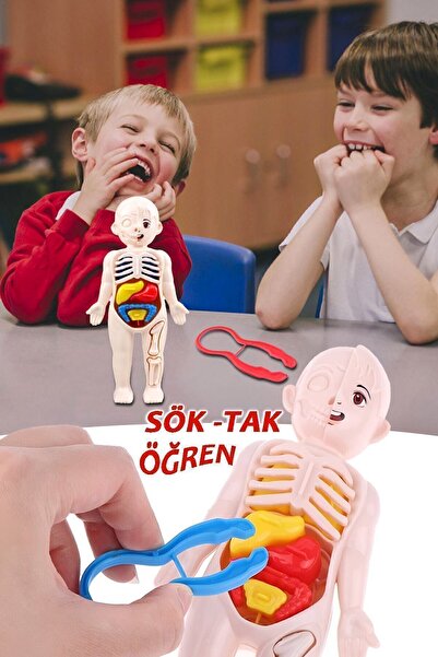 Bundeba Organları Tanıtan Eğitici Bebek Oyuncak Insan Vücudu Maketi Anatomisi Iç Organlar Bulmaca Puzzle