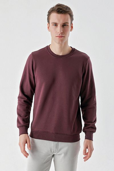 Morven Men's Plum Basic Crew Neck Sweat-Shirt