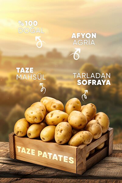 tadsun tadın son bulmuş hali Afyon Agria Kızartmalık Kışlık Taze Patates 5 Kg (YENİ MAHSÜL)