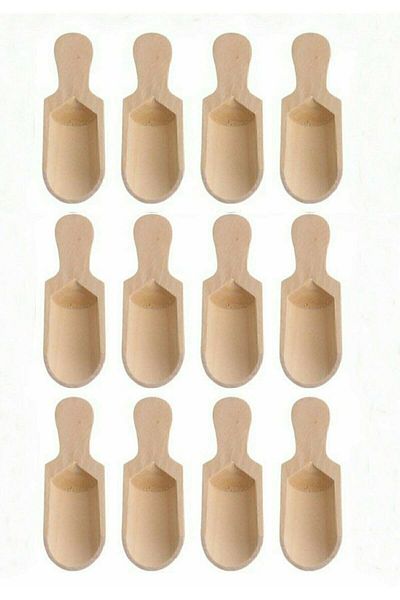 Eurasia Home 12 Mini Shovel Spice Spoons