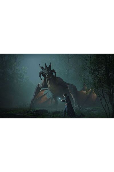 Warner Bros Hogwarts Legacy PS4