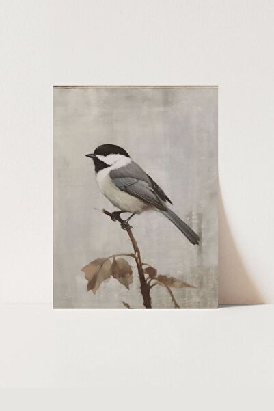 HOME DEKORİSTA Vintage Kuş Poster, Galeri Duvarı, Sanatsal Baskı