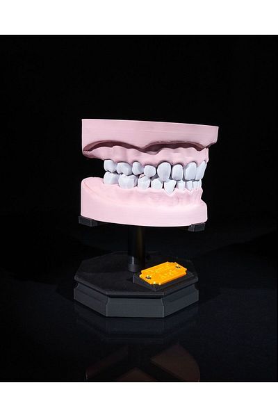 CESTOPİENO Removable Dental Sample - Upper and Lower Set