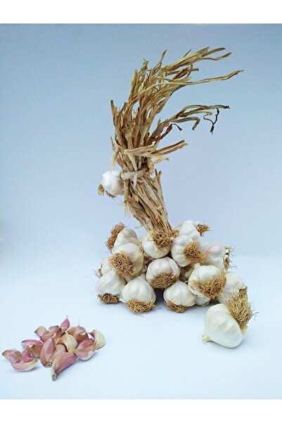 Yörece Taşköprü Sarımsak Kastamonu Taşköprü Sarımsağı 1 Kg Büyük Boy