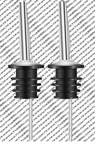 TheBRo 2 Pieces Stainless Steel Bottle Pourer - Shiny Metal Stopper