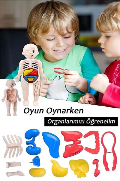 Bundeba Organları Tanıtan Eğitici Bebek Oyuncak Insan Vücudu Maketi Anatomisi Iç Organlar Bulmaca Puzzle