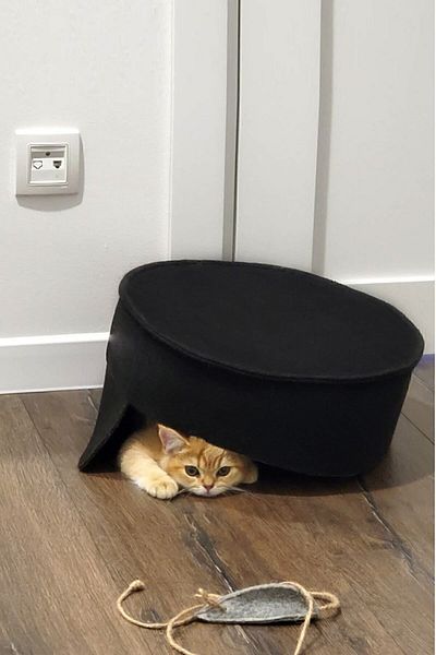Bundera Mia Cat Bed Pet Cat Cushion Cat Nest House Hut Black