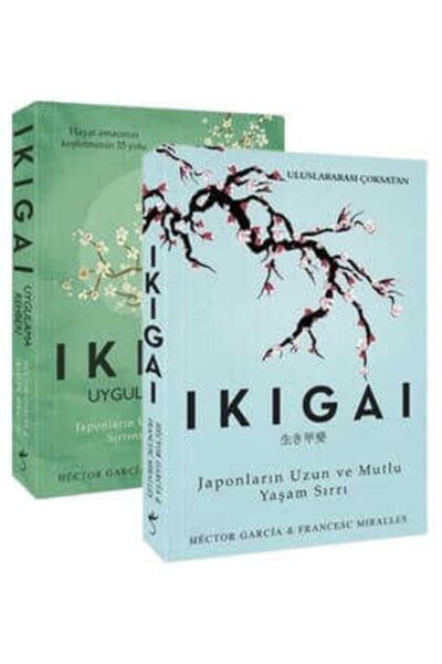 İndigo Kitap Ikigai Seti Uygulama Rehberi Indigo
