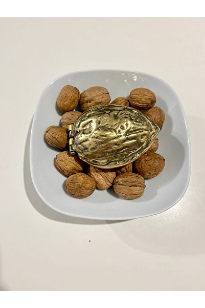 hediye Pirinç Döküm Ceviz Formun Da Büyük Boy Ceviz Kiracaği