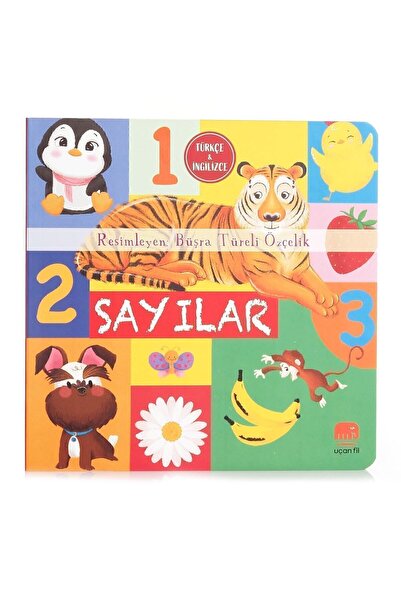 Epsilon Yayınevi Flyingfil Numeral