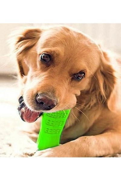Bundera Dog Teeth Cleaner Scratcher Toy Scratching Cleaning Toy