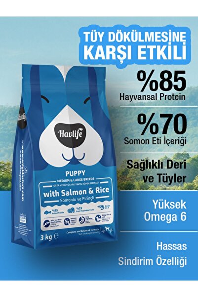 HAVLIFE 3kg Somonlu Yavru Köpek Maması Orta Büyük Irk Premium